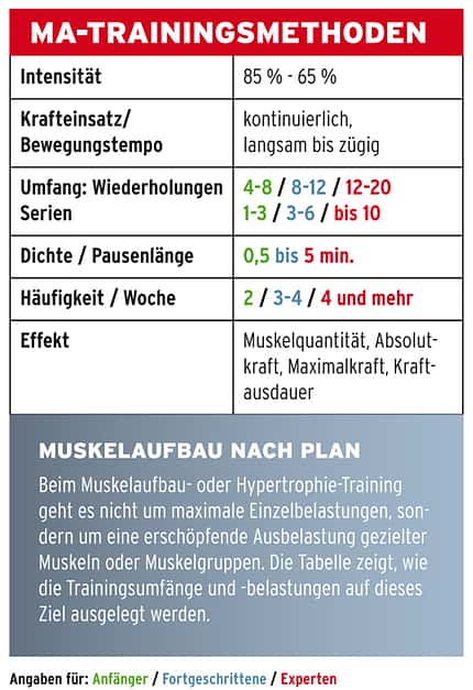 KL Kraft-Übungen, fortgeschrittenes Niveau KL Kraft-Übungen, fortgeschrittenes Niveau