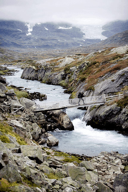 OD-Norw-H-Schneider_D6X1479 (gif) OD-Norw-H-Schneider_D6X1479 (gif)