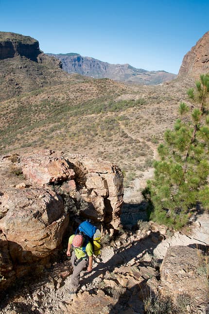 OD Gran Canaria OD Gran Canaria