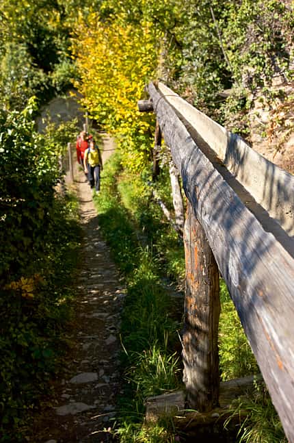 OD Herbstwandern im Vinschgau OD Herbstwandern im Vinschgau
