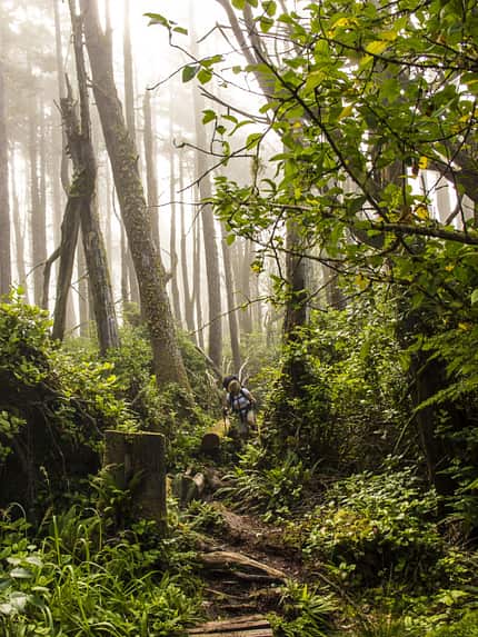 od-1100-kanada-west-coast-trail-destination-canada-04 (jpg) od-1100-kanada-west-coast-trail-destination-canada-04 (jpg)