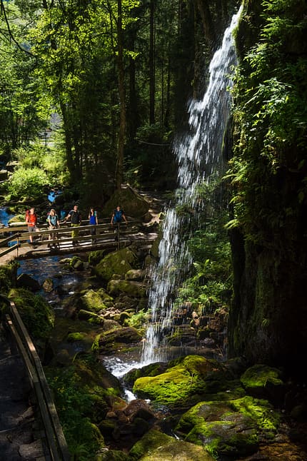 Auf dem Albsteig im Schwarzwald Auf dem Albsteig im Schwarzwald