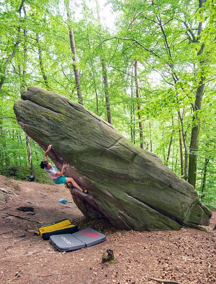 Bouldern im Göttinger Wald Bouldern im Göttinger Wald