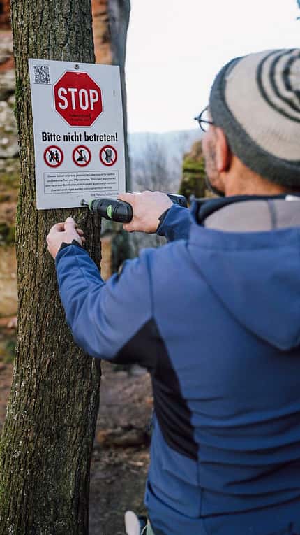Klettern und Naturschutz in der Pfalz