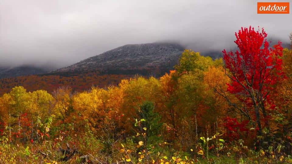 Wo der Herbst am schönsten ist - Indian Summer - Natur - Spätsommer